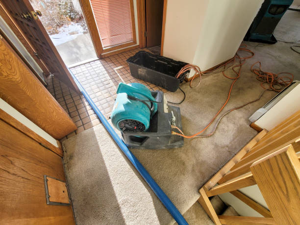 Best Ceiling water damage repair  in Fountain, CO