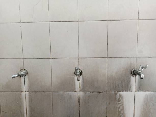 Carpet water damage restoration in CO